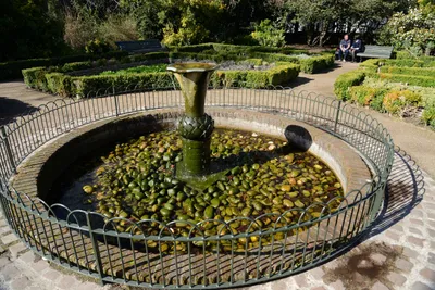 DSC_9233 (Large).JPG